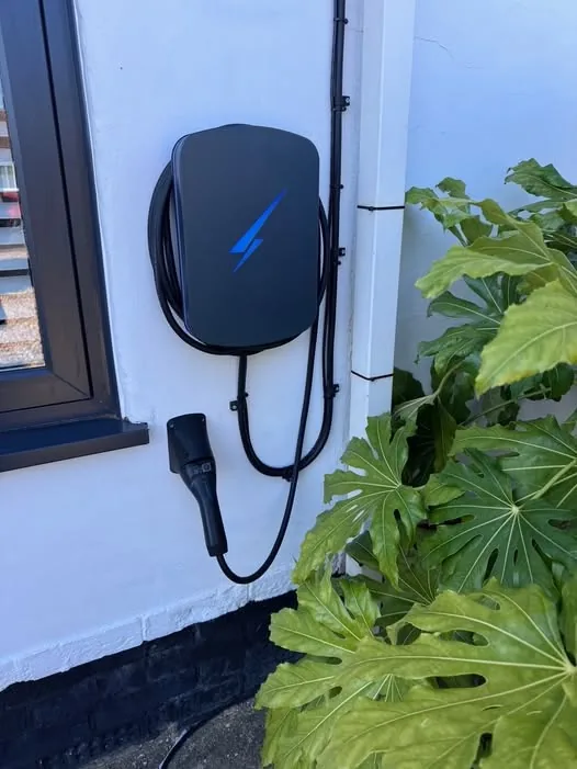 Home EV charging point fitted on a white wall beside a leafy plant