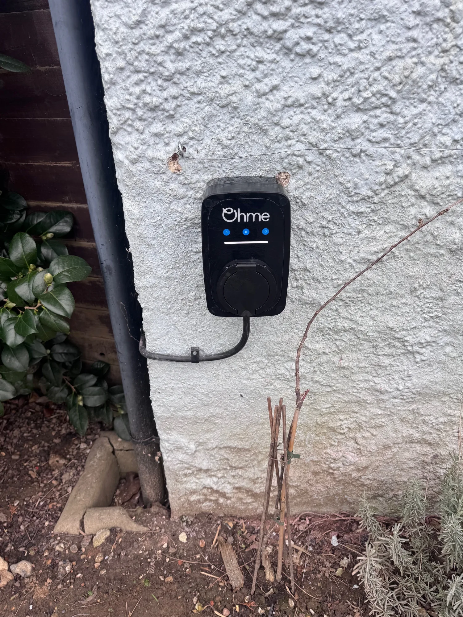 Ohme EV charger fitted on a rendered wall beside a garden bed